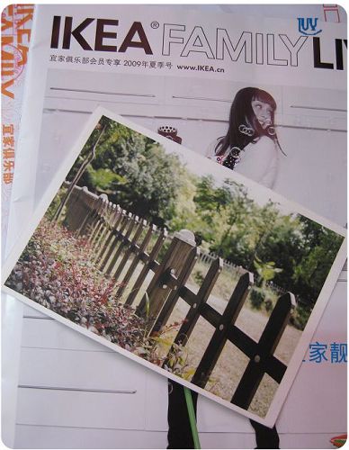 http://lh5.ggpht.com/_87s-ZzzIl60/SkmjTDibHtI/AAAAAAAAAy8/8KtKHxI-P2U/s800/%E5%85%AD%E6%9C%88%20006.jpg