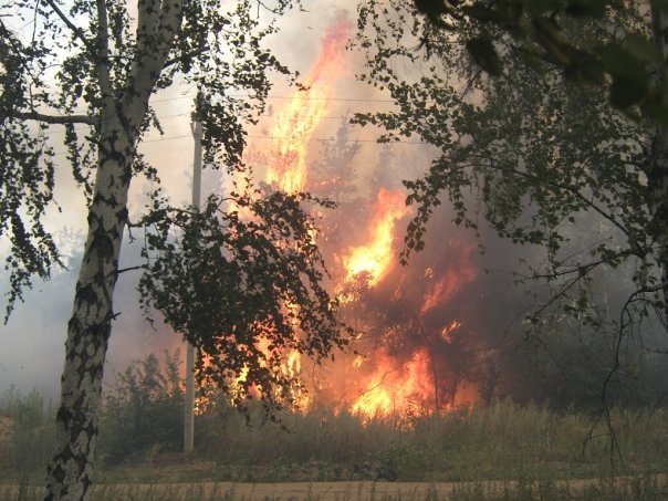 [Voronezh3[3].jpg]