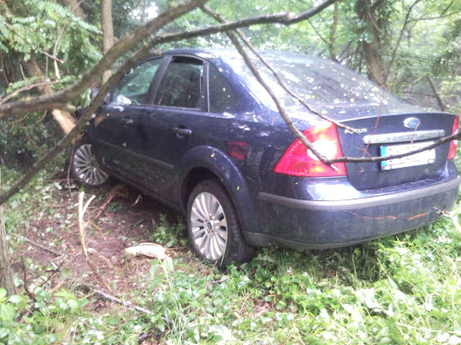Obrázek