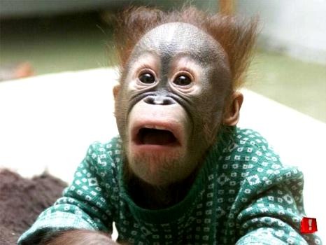[shocked[11].jpg]