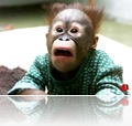 shocked