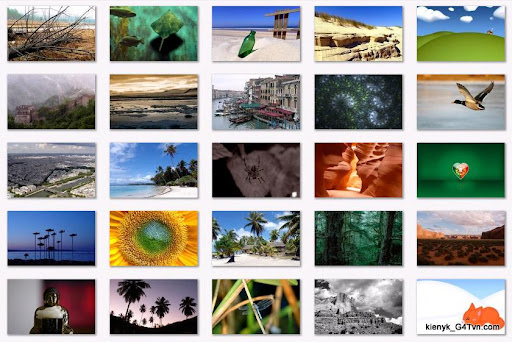 wallpapers wide hd. Search For HD Wallpapers Wide