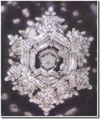 clip_image003