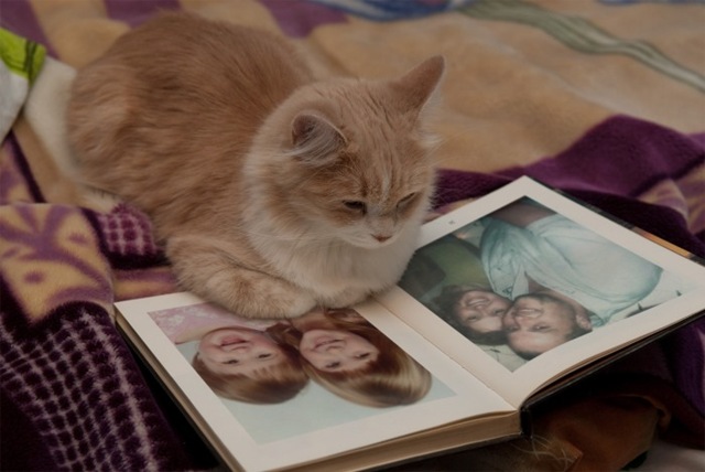 [kat[4].jpg]