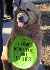 Media Circus tax-protest-doggie