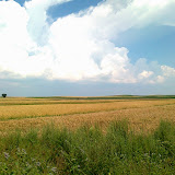 20100717109.jpg