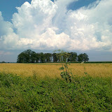 20100717111.jpg