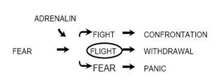 fear 1
