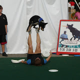 Trick Dog Show