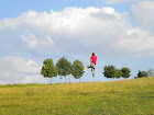 DSCN1732.JPG