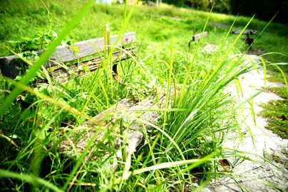 SONY DSC