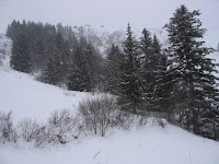 LesGetsDay5_IC 003.jpg Photo