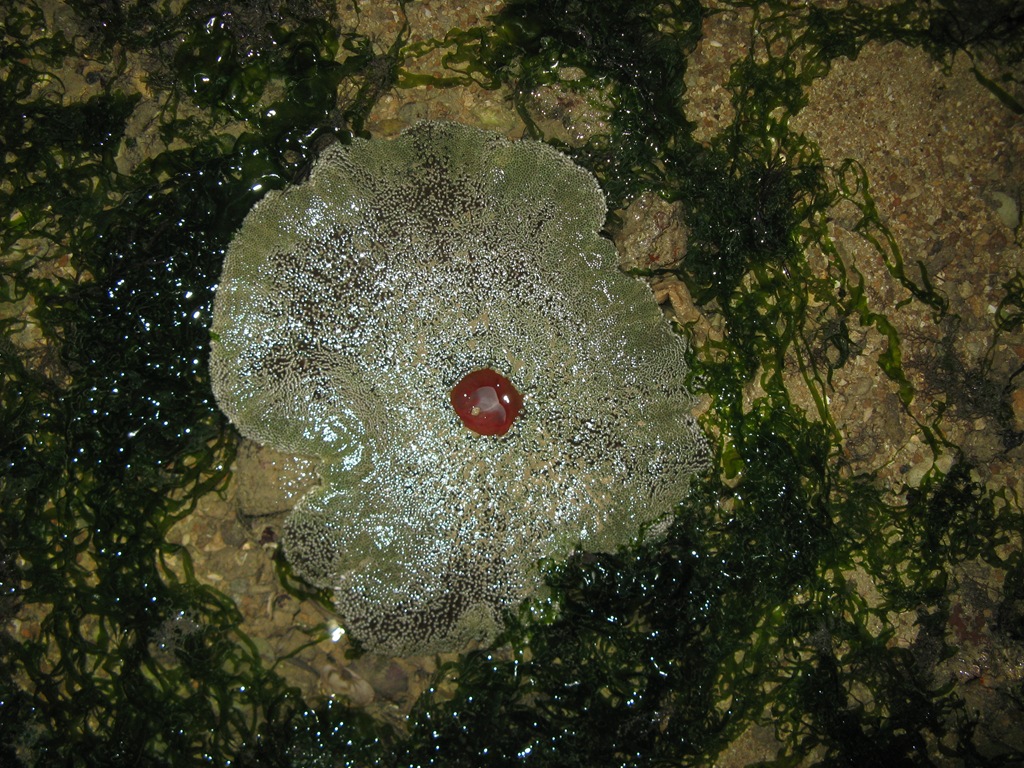 [IMG_80042.jpg]