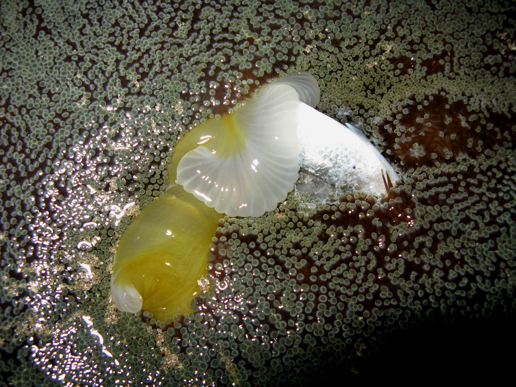 [IMG_802415.jpg]