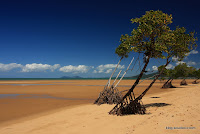 2009_08_28 Kurimini beach 011.jpg