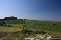 IMG_6004.JPG Photo