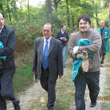 Con i gufi!