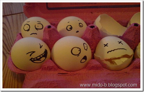 egg3