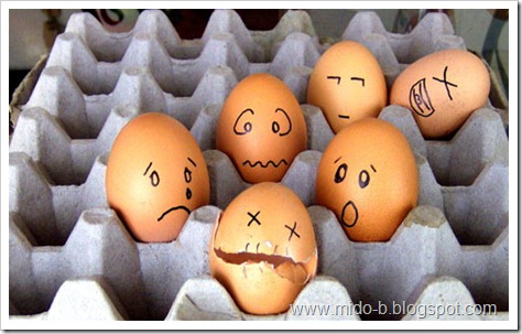 egg9