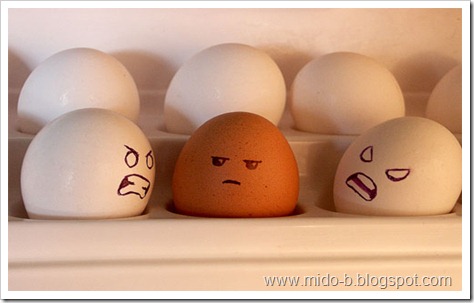 egg16