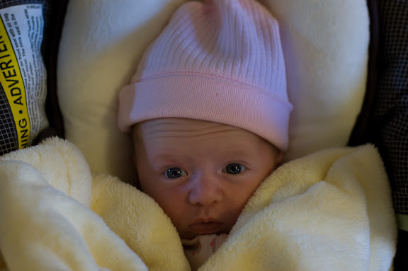 Bundled up in the car seat. She looks scared... maybe she thinks Honey will drive...