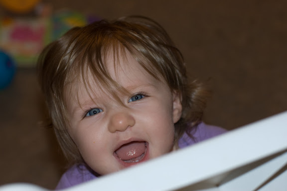 We've gated off the den... she's not a fan of being seperated from anyone.