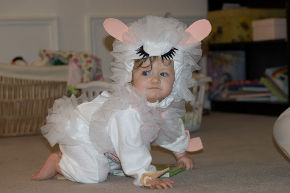 We had a very cute lamb visit us for Halloween.
