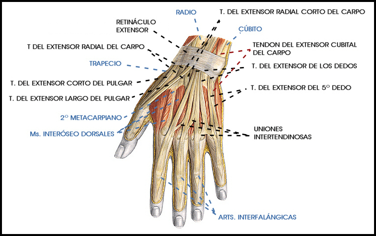 La Mano