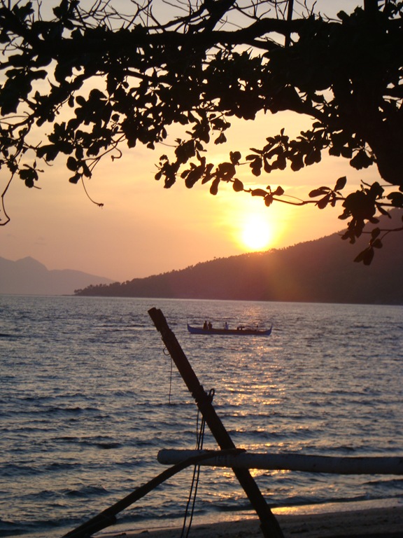[DSC07900.jpg]