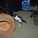 filou0005.jpg