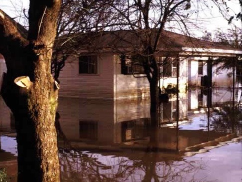 [flood[4].jpg]