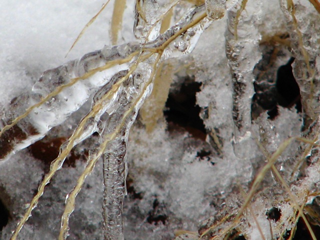 [icymess[5].jpg]