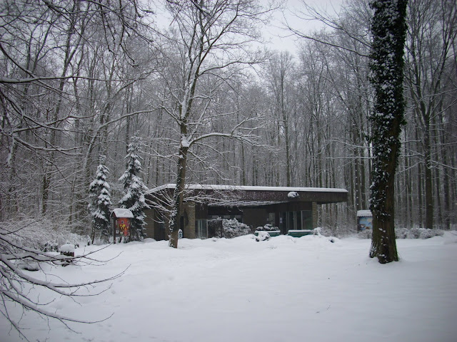 Pawilon małych ssaków