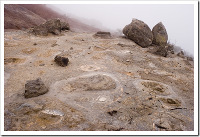 gomera_lomo del tejo_005