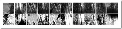 A-DORESTE20090412_24