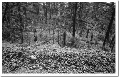 voigtlander_teide_008_07