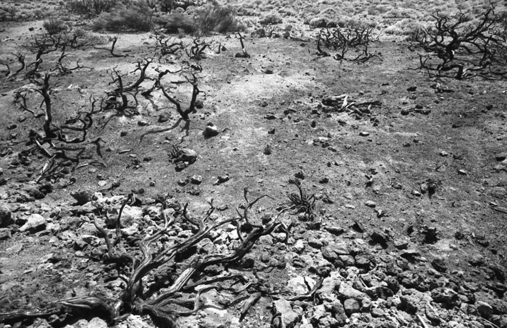 [voigtlander_teide_024_23[4].jpg]
