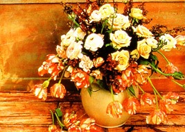 tulipani3