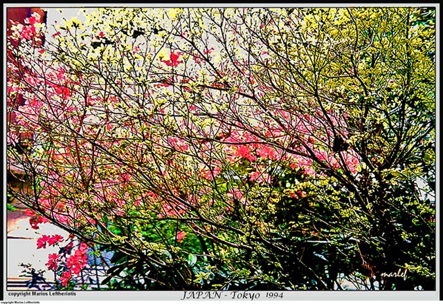 [137SpringinJapan2.jpg]
