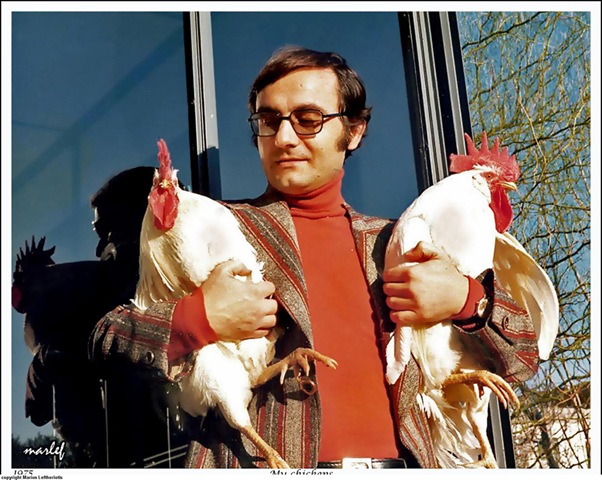 [455Mychicken2.jpg]