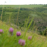 200605_tipovo