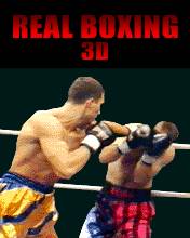 Real Boxing 3D