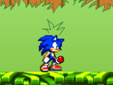 Sonic in Garden
