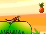 Monkey Dude
