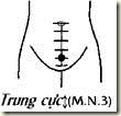 Image result for huyệt trung cực
