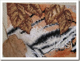IMG_0554 IMG_0554