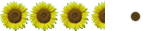Girasol (3'5) Girasol (3'5)