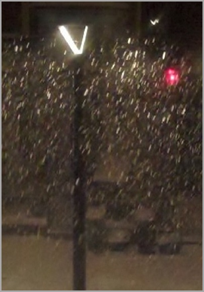 Narnia