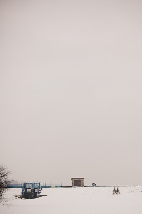 dsc_1992.jpg