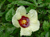 P1000334.JPG